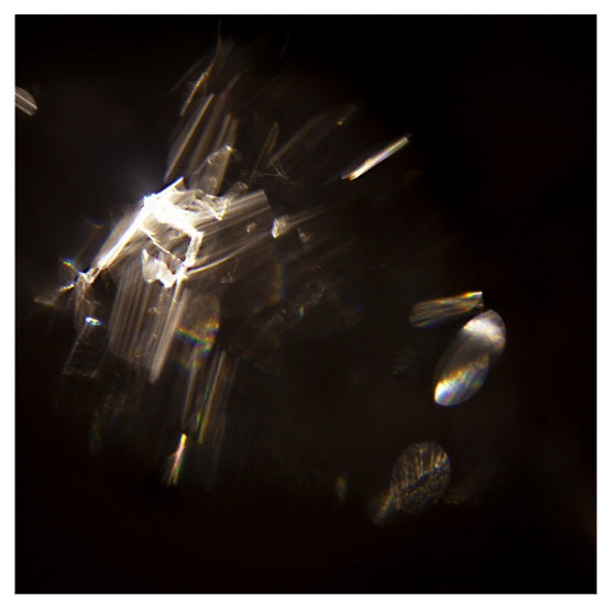 CRYSTALINE ASCENSION - THE ASCENSION