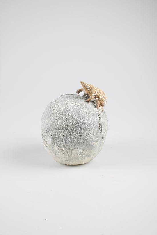 DUNG BEETLE THAT ROLLS THE MOON