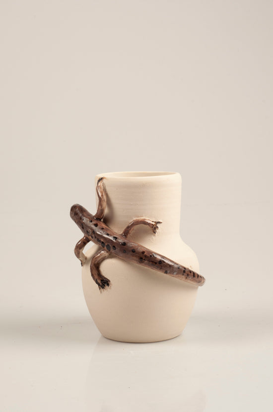 GARDEN SKINKS CAN DROP THEIR TAIL