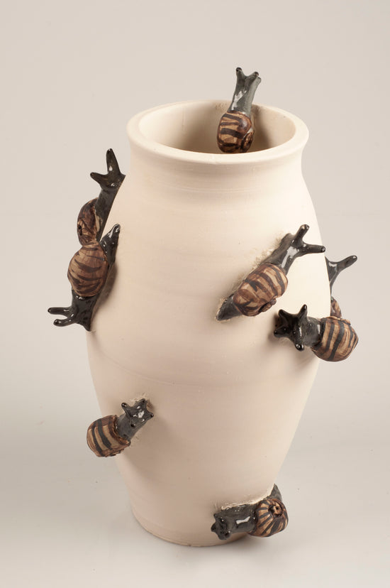 GARDEN SNAILS AREN'T NATIVE