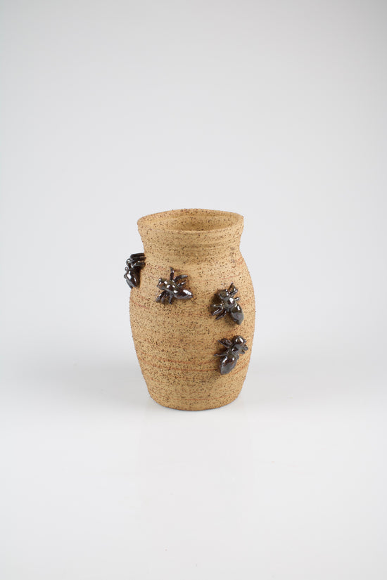 JAMES CANT SMEL ANTS