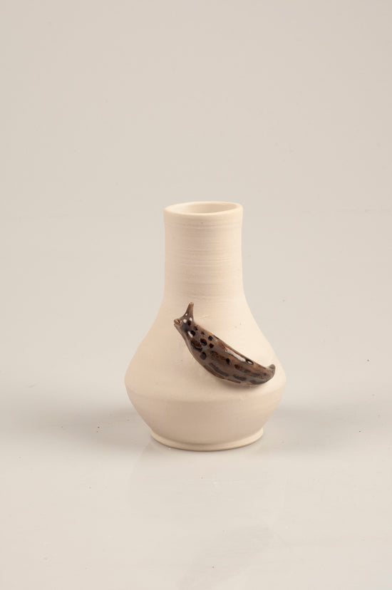 LEOPARD SLUGS FEED ON THE DEAD