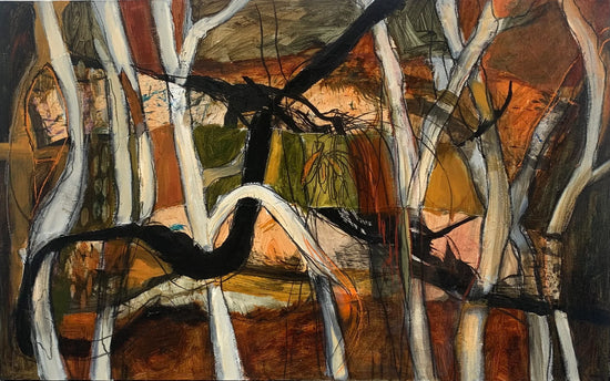 MULOOBINBA MANGROVES DAILY