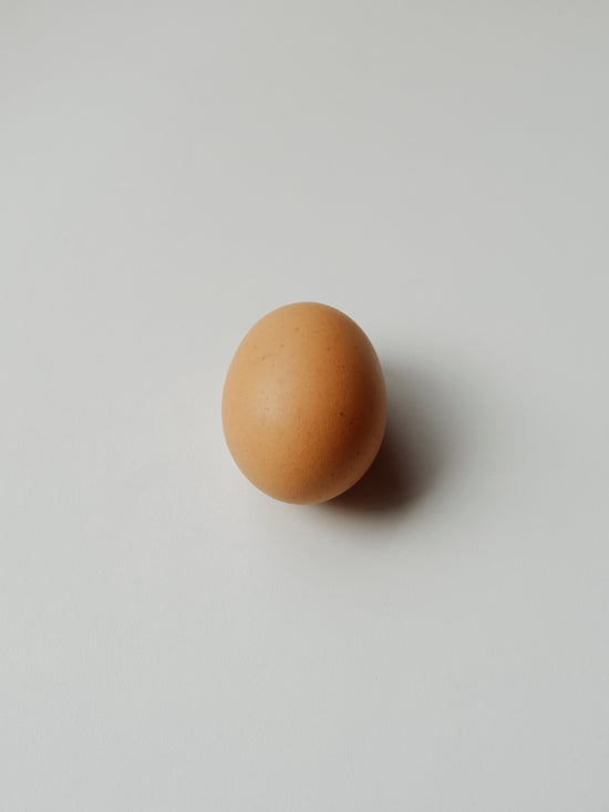 EGG