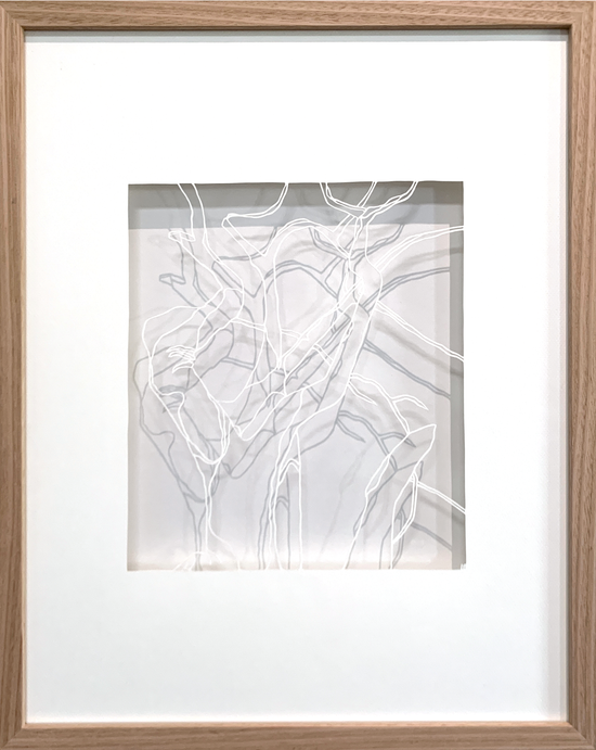 (GHOSTS) IN THE PARK