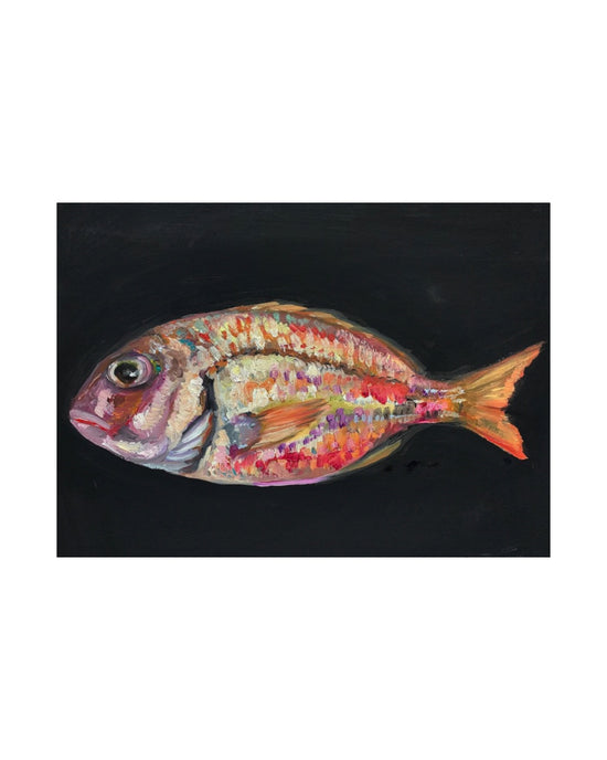 RED PORGY