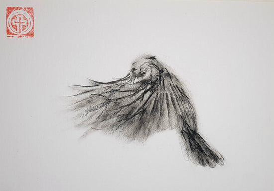 SPARROWS IN FLIGHT (3)