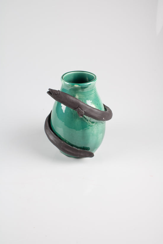 AUSTRALIA HAS TWO TYPES OF EELS, ELECTRIC ISN'T ONE