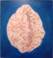THE PINK CLAM (SHOWER CAP)