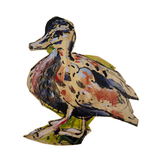 DUCKY