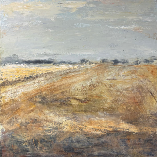 THE LONG WALK HOME