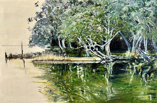 THE OLD BOAT - MYALL LAKES