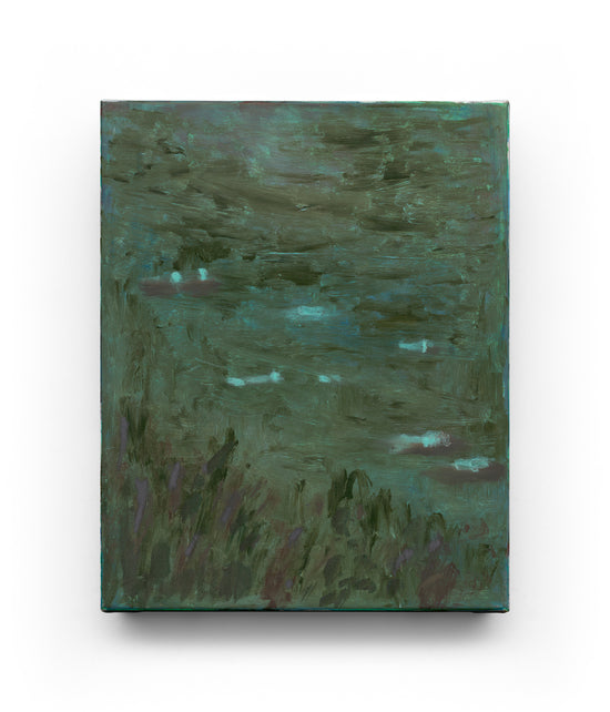 THE QUIET AFTER THE RAIN